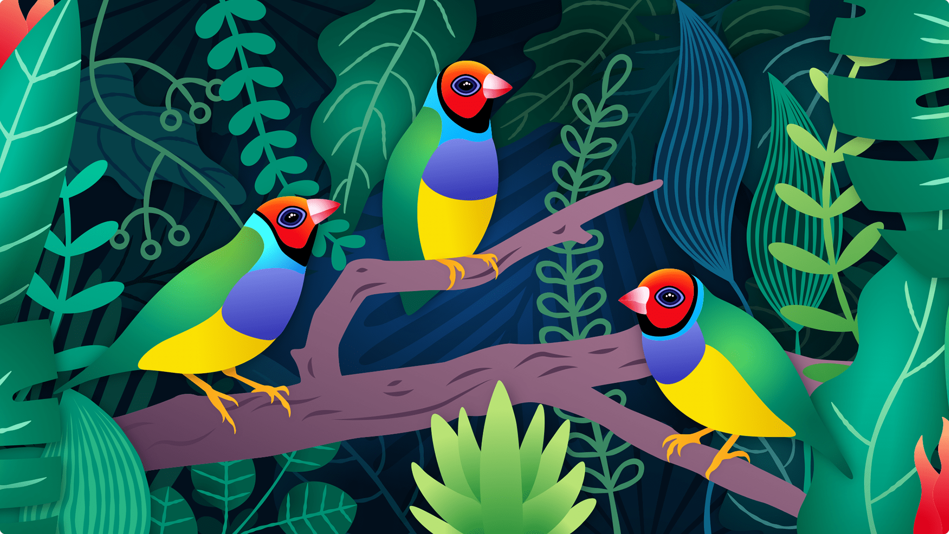 Хэвлэлийн график дизайн хуулбар 1