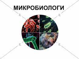 Хүнсний микробиологи, эрүүл ахуй IF7512-34-01-201