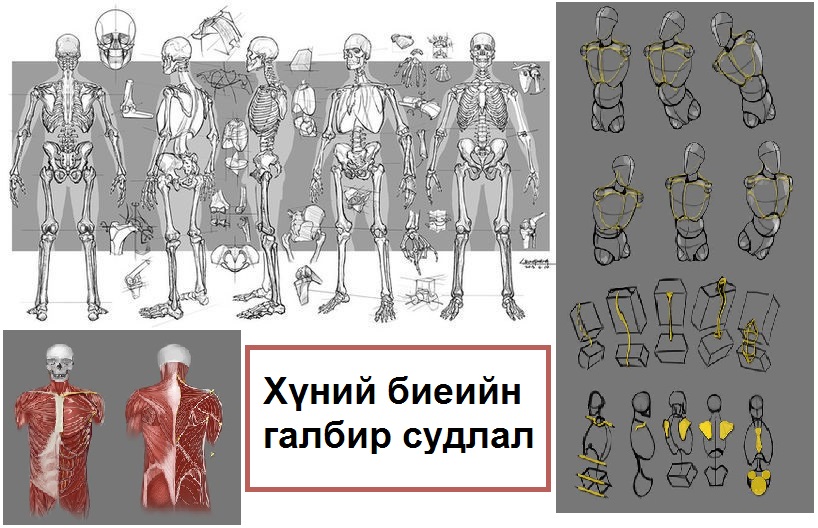 Галбир судлал